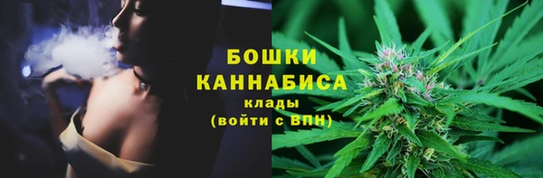 сатива Богданович