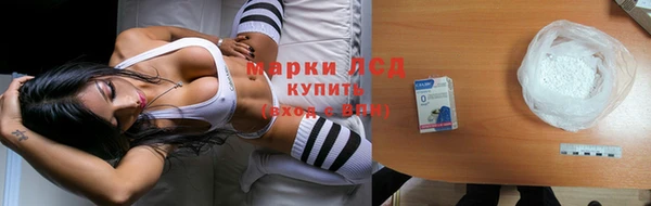сатива Богданович