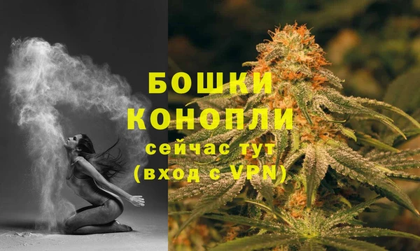 сатива Богданович