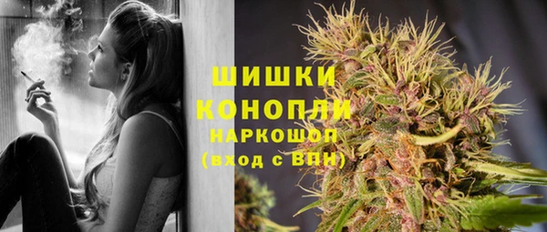мдпв Богородск