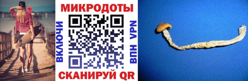 Купить закладки  Унеча  Псилоцибиновые грибы Psilocybine cubensis 